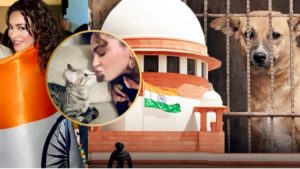 Seerat Kapoor Urges On This 79th Independence Day